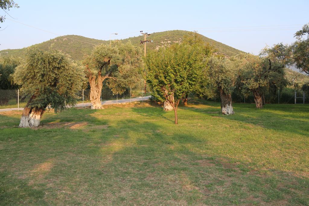 Patroudis House Apartment Skala Rachoni  Bagian luar foto