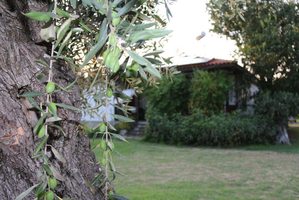 Patroudis House Apartment Skala Rachoni  Bagian luar foto
