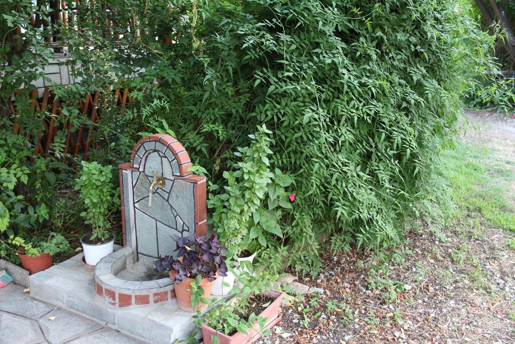 Patroudis House Apartment Skala Rachoni  Bagian luar foto
