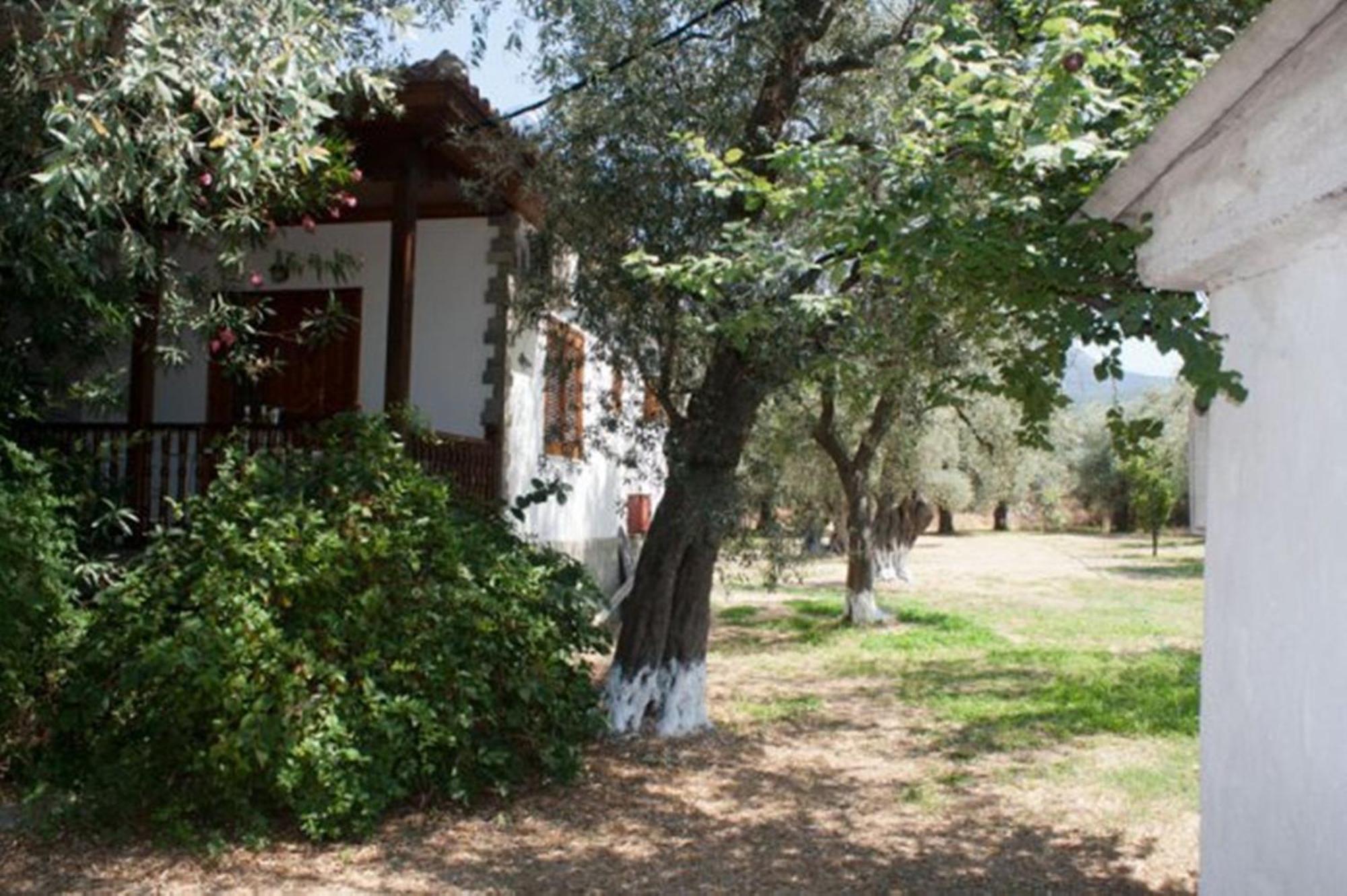 Patroudis House Apartment Skala Rachoni  Bagian luar foto